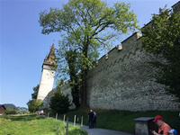 瑞士火鍋攻略 瑞士是山國,畜牧業發達,食材也就應地制宜了。今天就說說如果只能推薦一道瑞士菜那必須要嘗瑞士火鍋!