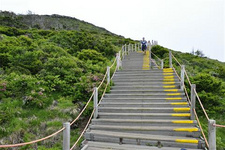 济州岛最佳美食TOP4（下）
