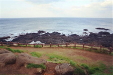 逛济州岛东门市场