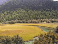 來稻城亞丁，開啟尋夢之旅 稻城亞丁不僅有壯麗神圣的雪山，還有遼闊的草甸、五彩斑斕的森林和碧藍通透的海子，雪域高原最美的一切幾乎都匯聚于此，這里的一切都讓人流連忘返......