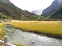 稻城亞丁自駕游攻略 稻城亞丁是很適合旅游的，尤其是在秋天，這里的風景是最美的。并且，稻城亞丁離我們并不是很遠，我們節假日自駕游就可以到達稻城亞丁。在自駕游的過程中，我們還可以享受沿途的風景，現在越來越多人都會選擇自駕游了。接下來就給大家分享一則亞丁稻城自駕游攻略。