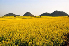 昆明小吃攻略（2） 如果你在昆明的時間比較充裕的話可以找找試試看這些美食，當然不過個人口味不同，僅作參考。