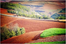 云南昆明自由行旅游攻略 昆明是云南的政治、經濟、文化中心，云南省內的旅游資源豐富，同時也是一個民族大省。依托云南省內旅游資源、民族文化特色，云南省吸引著國內外眾多前來旅游的游客。昆明市區及周邊的旅游景點，景色也很多，所以，前來昆明自由旅行的人數也很多。