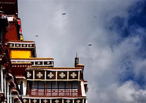 布達拉宮去年接客數破百萬人次 2020年，西藏旅游業迅猛發展，共接待游客1058.4萬人次，實現旅游總收入126.47億元，分別增長21.7%和30.3%。據西藏自治區文化廳最新統計數據顯示，2020年，作為西藏打造世界旅游目的地品牌“黃金名片”的布達拉宮共計接待國內外游客101萬人次，占西藏旅游接待總人數約一