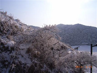 重慶金佛山—神龍峽景區 重慶金佛山—神龍峽景區：2020年金佛山—神龍峽景區被批準為國家5A級旅游景區，這也是重慶市成功創建的國家第6個5A級景區，這標志著南川獲得了進軍國際旅游市場的“通行證”。