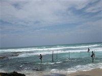 斯里兰卡出游必备攻略（2）