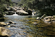 廬山的春天，千萬不要錯過 