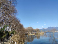 麗江旅游攻略 到古城感受寧靜悠遠(yuǎn)的氛圍，欣賞處處風(fēng)景處處花的人越來越多，麗江首當(dāng)其沖。有一個合理的旅游攻略，對游客享受一段美好旅程來說，是很有必要的，既有了游玩欣賞的方向，也能夠省去不必要的麻煩。