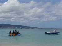 【出境游】十二生肖旅行地图