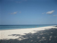 伊露薇麗島度假村 