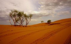 宁夏最受游客喜爱景点（1）