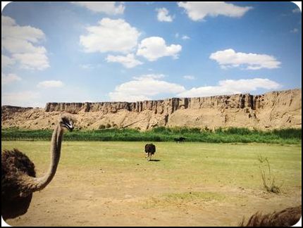 ningxia 寧夏 靈武 水洞溝