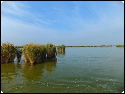 ningxia 寧夏 銀川