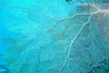 泰国旅游景点之普吉岛