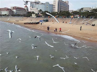 中國(guó)幸福感最高城市——青島 中國(guó)幸福感最高城市——青島，紅瓦、綠樹、碧海、藍(lán)天，是這個(gè)城市最好的寫照，濕潤(rùn)的海風(fēng)里，縹緲的深山處，都藏著這座城市最美的秘密。