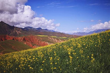 青海有多美？（4） “青海有青海湖、三江源，有遼闊秀美的原生態(tài)大草原、雄偉壯麗的阿尼瑪卿雪山，還有源遠(yuǎn)流長的多民族文化，特殊的地理環(huán)境孕育了豐富的旅游資源。可以說，青海的美是天生的。”青海省康輝國際旅行社的“最美導(dǎo)游”何穎說。