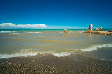 神秘的青海湖水怪傳聞 青海湖，古稱“西海”，是我國最大的內陸湖，海拔3196米，面積4583平方公里，最深處有30多米。這里自古荒涼，有許多神話傳說，近幾十年關于水怪的傳聞又為它涂上了一層更加神秘的色彩。