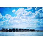 2020《湟魚洄游季探秘青海湖》即將開播（1） 經過近兩個月的精心策劃，中央電視臺與青海廣播電視臺聯合攝制的2020《湟魚洄游季探秘青海湖》即將開播。攝制組負責人介紹，今年的湟魚洄游報道主要圍繞青海湖大生態向好，多樣生物共存的主題展開。