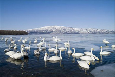 到北海呼吸新鮮好空氣 北海空氣的清新可謂全國之最，在全國各城市中居優級領先地位。一位來北海定居半年多的劉先生說，他以前生活在東北，年過五十就患上了高血壓、哮喘等疾病，住到北海后感覺好多了。專家稱，北海擁有一流的好空氣并非偶然，北海三面環海，空氣交換快；城市綠化好，凈化了空氣；沒有大型工業污染；生活垃圾和污水得到了及時處理等，這些因素使北海擁有了清新的空氣。