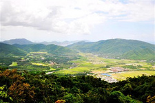 三亞旅游挑選海鮮的技巧 到三亞旅游，自己去市場買新鮮的海鮮，然后拿去師傅加工，是最好的。三亞的海鮮，知名度很高，這里的海域污染度很低，南海海域盛產海鮮。說了這么多，那么，在市場上買海鮮，應該怎么挑選呢？