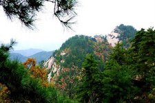 适合带父母旅游的地方(1)