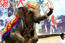 山西旅游打卡最美鄉村 山西旅游除了去游玩如大同云岡石窟、平遙古城等一些名勝古跡以外,還有許多地方值得打卡,山西有著眾多景色秀麗、文化底蘊深厚的鄉村。下面小編今天就為你介紹一下10個山西最美鄉村。