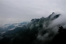 暑假全家出游知名自然保护区（中）