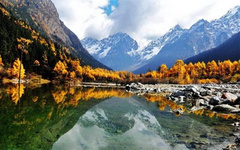 理縣自助游景點推薦（2） 理縣自助游景點推薦（2）丘地村，古爾溝溫泉后花園，嘉絨藏族風情體驗目的地。在精品旅游村打造中，堅持嘉絨藏族原風貌的建筑風格，著力完善基礎設施和旅游設施，積極開發觀光農業和體驗式旅游業，大力整合鄰近大溝、小溝內的高山草甸、魚海子等資源優勢，精心打造了跳鍋莊、穿藏裝、品藏餐、學藏族手工藝等旅游項目，并為游客準備了藏式火鍋、手抓牦牛肉、烤全羊等多種特色菜品。