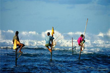 斯里兰卡美食餐厅有哪些？