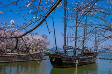 盘点无锡旅游不可错过美食(上)