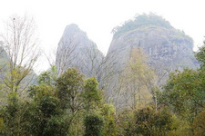 合福高鐵沿途熱門旅游景點攻略（1） 合福高鐵沿途熱門旅游景點攻略（1）隨著合福高鐵的開通，閩贛皖三省市周邊熱門的旅游資源匯集成了一個“大景區”，途經武夷山、黃山、婺源、上饒三清山等熱門旅游景點，因沿途經過多個熱門旅游景點，這條高鐵又被稱為“最美高鐵”。據悉，合福高鐵開通后，武夷山北站停靠列車32列、黃山北站停靠列車43列。