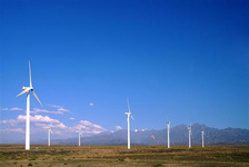 新疆秋天胡楊林游覽地推薦 新疆秋天胡楊林游覽地推薦，胡楊是一種奇特植物，千年不死，死后千年不倒，倒后千年不朽，三千年的倔強、堅守，訴說荒蕪大漠的歲月傳奇。堅韌、堅強、包容的。