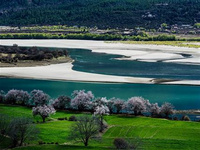 2020去西藏旅游一定要做的事情 多少人對(duì)于旅行的夢(mèng)想是從心中有個(gè)西藏開(kāi)始的，那里遙遠(yuǎn)神秘，那里是世界屋脊，那里風(fēng)土獨(dú)特，是一片神的土地。游客來(lái)到西藏旅游有哪些事是必做的呢？