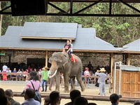 西双版纳泼水节旅游攻略(下)