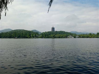 西湖區最美騎游線路介紹 日前,西湖區借著一場單車拍客騎游活動,推出了一條最美騎游線路,叫響了龍塢騎游的新品牌。騎游線路從龍塢茶村西山國家森林公園入口出發,經何家村、慈母橋、里桐塢,最終到達外桐塢,全程約10公里,耗時約2小時。這條線路經過鄉野農居、山林茶園、灌木叢林、水庫溪流、農家菜地,茶園風光盡收眼底,堪稱西湖區最美騎游線路。