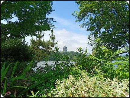 中國 浙江杭州 西湖 夏天 陸維