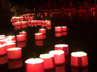 西雙版納最美的夜市--“湄公河·星光夜市” 告莊西雙景“湄公河·星光夜市”被譽為“西雙版納最美的夜市”，從2020年創立運營至今，集結了泰國、老撾、越南、柬埔寨各國以及全國各地的夜市創意攤販，濃郁的傣泰風情是這里的一大特色，游走其間，游客可以身臨其境地感受湄公河流域的趕擺文化。無論是在特色上，還是管理上，告莊西雙景都對“創意”“特色”“文化”多了幾分中意和偏愛。