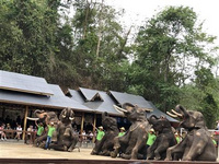 西雙版納告莊旅游有啥好玩的？（2） 告莊內的美食，餐館飯店里的和市區的并無二樣，而且景區內的餐館數量也為數不多。而要真說其內的美食，不得不提的便是星光夜市里的美味小吃了。在旅游的淡季，白天去告莊并不能見到太多游人，相反，一到了夜幕開始降臨，夜市攤陸續營業之后，人們便會從市區奔涌而來，一副熱鬧一場的景象。