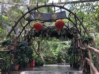 西双版纳野象谷旅游指南