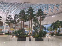 韩国仁川机场购物体验