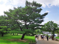 2019韓國首爾美食餐廳 韓國是一個受歡迎的旅游國家，距離我國也非常的近。韓國的首爾被稱為美食之城，精心挑選了12家首爾的超值美食餐廳介紹給各位美食愛好者，這些餐廳無論是價格還是口味都受到游客以及當地人的認可。當您前往韓國首爾旅行時，可作為各位美食愛好者的參考。