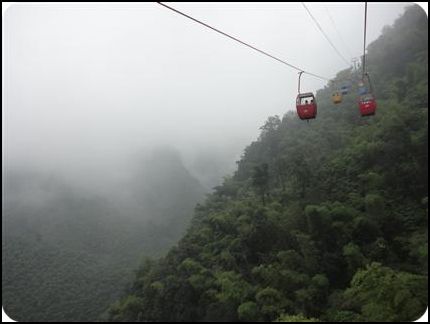 中國 四川宜賓 蜀南竹海 秋天 張秀云7