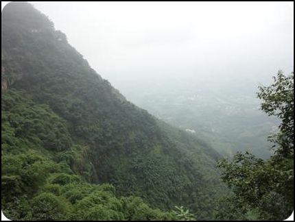 中國 四川宜賓 蜀南竹海 秋天 張秀云8