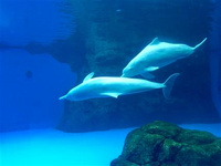 2020珠海小眾·吃貨節(jié)甜品店推薦 為期三天2020珠海小眾·吃貨節(jié)就要來了。再12月20日、12月21日、12月22日吃貨節(jié)期間，只要購買了