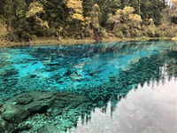 九寨溝門票是多少 九寨溝，因溝內有九個藏族寨子而得名。九寨溝位于四川省阿壩藏族羌族自治州九寨溝縣漳扎鎮，距離成都540公里，車程8-10小時。1992年，九寨溝正式列入《世界自然遺產名錄》。九寨溝所有景點之間都可以通過觀光車穿梭，也可以通過貫穿的棧道步行欣賞。在不同的地方，可以發現九寨溝不同的迷人魅力，成為中外游客向往的神奇的“夢幻世界”。