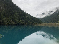 四川冬季旅游景點推薦 在四川冬天也有許多值得一去的景點，這里有皚皚雪山，游人還可以在這里泡一泡溫泉，十分愜意。小編為大家推薦一下必去的冬季四川旅游景點。