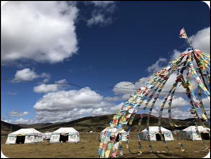 中國 四川 若爾蓋 鐮刀壩草原 秋季 石野