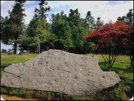 中國 重慶 武隆仙女山 秋天 劉華