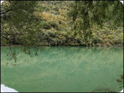 中國(guó) 甘肅 隴南 官鵝溝 秋天 高潔