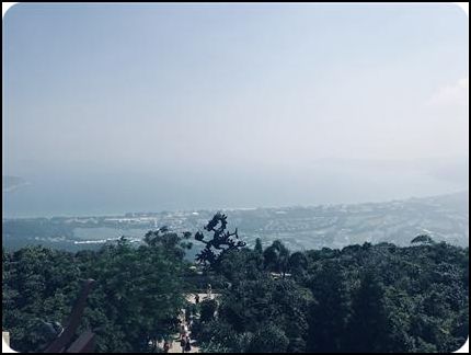 海南 三亞灣森林公園 陳思宇